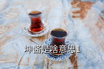 坤醬是啥意思1