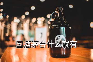 國酒茅臺什么就有