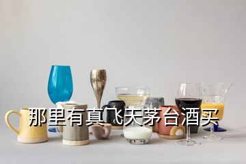 那里有真飛天茅臺酒買