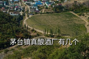 茅臺鎮(zhèn)真釀酒廠有幾個