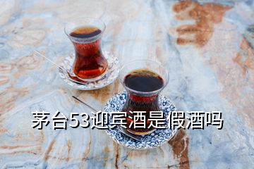 茅臺(tái)53迎賓酒是假酒嗎