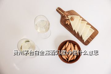 貴州茅臺(tái)白金醬酒53度v9是什么意思