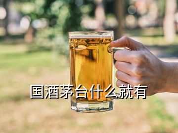 國酒茅臺什么就有