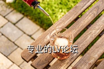 專(zhuān)業(yè)的LV論壇