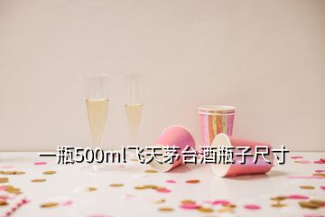 一瓶500ml飛天茅臺(tái)酒瓶子尺寸