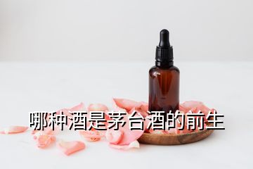 哪種酒是茅臺(tái)酒的前生