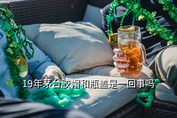 19年茅臺(tái)膠帽和瓶蓋是一回事嗎