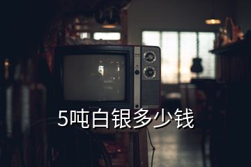 5噸白銀多少錢