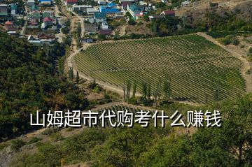 山姆超市代購考什么賺錢