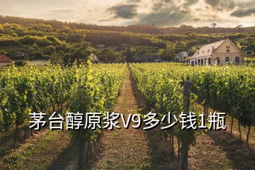 茅臺醇原漿V9多少錢1瓶