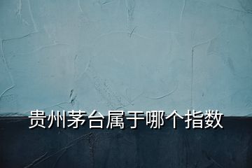 貴州茅臺(tái)屬于哪個(gè)指數(shù)