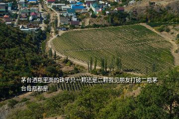 茅臺(tái)酒瓶里面的珠子只一顆還是二顆我見(jiàn)朋友打破二瓶茅臺(tái)每瓶都是