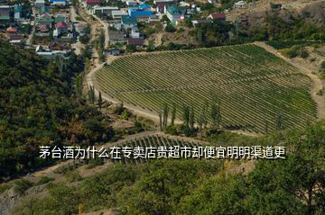 茅臺酒為什么在專賣店貴超市卻便宜明明渠道更