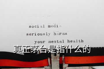 真正茅臺是指什么的