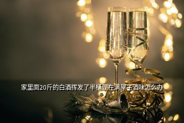 家里面20斤的白酒揮發(fā)了半桶現(xiàn)在滿屋子酒味怎么辦