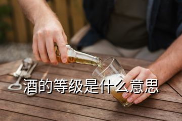 酒的等級(jí)是什么意思