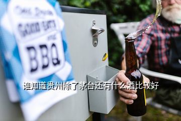 誰(shuí)知道貴州除了茅臺(tái)還有什么酒比較好