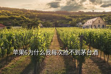 蘋果6為什么我每次搶不到茅臺酒