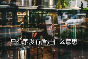 只有茅沒有盾是什么意思