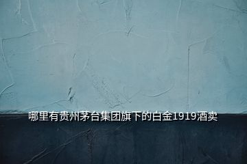 哪里有貴州茅臺集團(tuán)旗下的白金1919酒賣