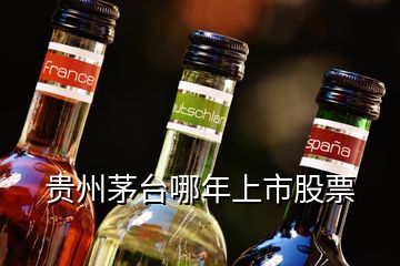 貴州茅臺(tái)哪年上市股票