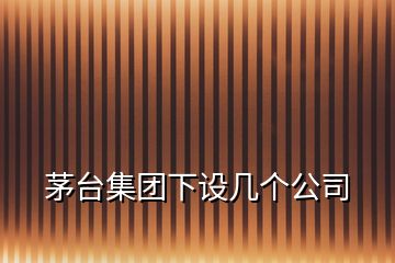 茅臺(tái)集團(tuán)下設(shè)幾個(gè)公司