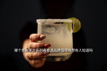 哪個(gè)貴州茅臺(tái)系列醬香酒品牌值得推薦有人知道嗎