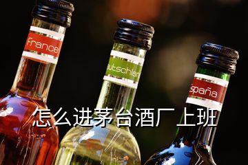 怎么進(jìn)茅臺(tái)酒廠上班