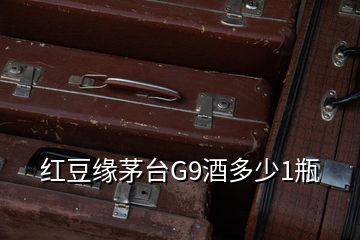 紅豆緣茅臺(tái)G9酒多少1瓶