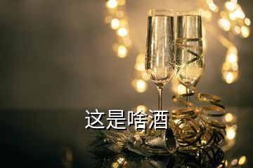 這是啥酒