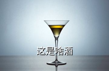 這是啥酒