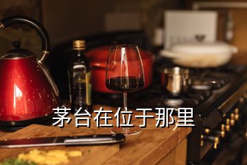 茅臺(tái)在位于那里