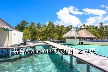 茅臺(tái)AMD0743代表的什么意思