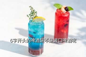 6字開頭的啤酒是不是進(jìn)口啤酒呢