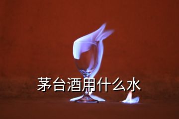 茅臺(tái)酒用什么水