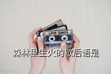 森林里生火的歇后語(yǔ)是