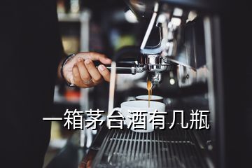 一箱茅臺(tái)酒有幾瓶