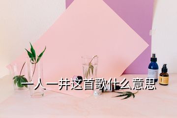 一人一井這首歌什么意思