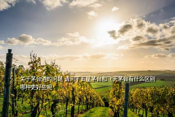 關(guān)于茅臺(tái)酒的問(wèn)題 請(qǐng)問(wèn)下五星茅臺(tái)和飛天茅臺(tái)有什么區(qū)別哪種更好些呢