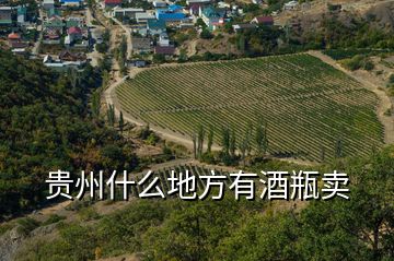 貴州什么地方有酒瓶賣