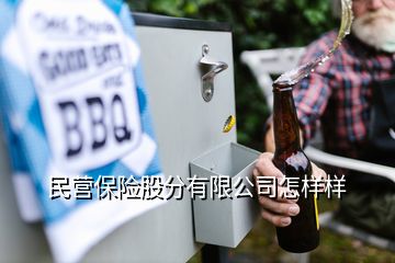 民營保險股分有限公司怎樣樣