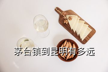 茅臺鎮(zhèn)到昆明有多遠(yuǎn)