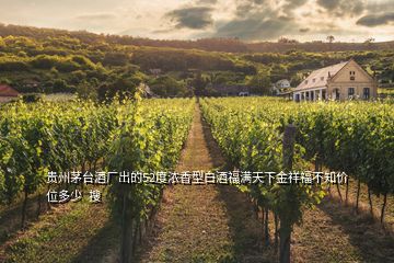 貴州茅臺酒廠出的52度濃香型白酒福滿天下金祥福不知價位多少  搜