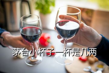 茅臺(tái)小杯子一杯是幾兩