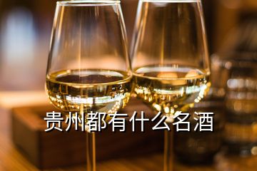 貴州都有什么名酒