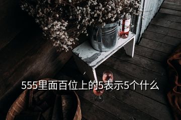 555里面百位上的5表示5個什么