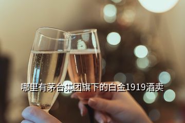 哪里有茅臺集團旗下的白金1919酒賣