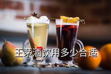 王茅酒飲用多少合適