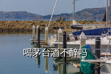 喝茅臺酒不醉嗎