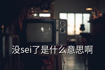 沒sei了是什么意思啊